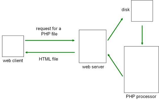 A client requests a dynamic Web page. The server retrieves a pogram from its disk. It executes the program. The output of the program is sent back to the client.